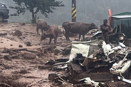 South Korea: Death toll rises as heavy rains cause landslide; national firefighting mobilisation order issued | South Korea: Death toll rises as heavy rains cause landslide; national firefighting mobilisation order issued