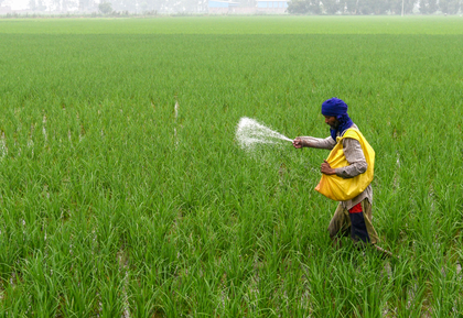 No plan to hike urea prices, clarifies Centre | No plan to hike urea prices, clarifies Centre No plan to hike urea prices, clarifies Centre | No plan to hike urea prices, clarifies Centre