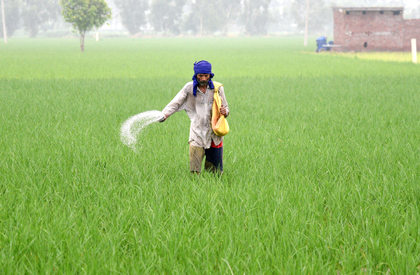 Centre doubles down on reducing urea usage with alternative fertilisers | Centre doubles down on reducing urea usage with alternative fertilisers Centre doubles down on reducing urea usage with alternative fertilisers | Centre doubles down on reducing urea usage with alternative fertilisers