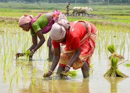 ‘BHARATI’ to empower 100 agri-food startups, target $50 billion exports by 2030 | ‘BHARATI’ to empower 100 agri-food startups, target $50 billion exports by 2030 ‘BHARATI’ to empower 100 agri-food startups, target $50 billion exports by 2030 | ‘BHARATI’ to empower 100 agri-food startups, target $50 billion exports by 2030