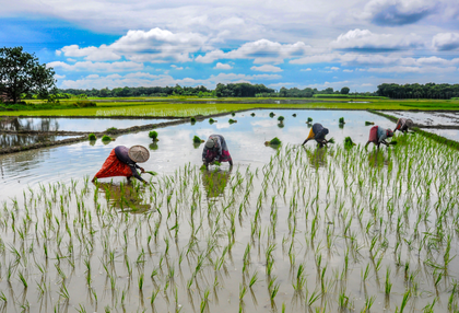 US agri, dairy firms with financial muscles aim to control global markets, India stands firm | US agri, dairy firms with financial muscles aim to control global markets, India stands firm