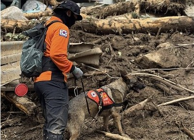 South Korea: Death toll rises to 23 after heavy rains, landslides | South Korea: Death toll rises to 23 after heavy rains, landslides South Korea: Death toll rises to 23 after heavy rains, landslides | South Korea: Death toll rises to 23 after heavy rains, landslides