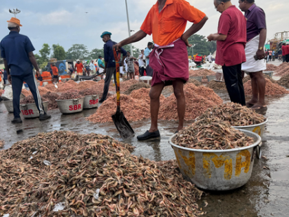 Indian seafood exporters set to seize larger share of UK market, go global: Govt | Indian seafood exporters set to seize larger share of UK market, go global: Govt