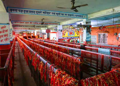 8 killed, 30 injured in Mansa Devi stampede in Haridwar | 8 killed, 30 injured in Mansa Devi stampede in Haridwar 8 killed, 30 injured in Mansa Devi stampede in Haridwar | 8 killed, 30 injured in Mansa Devi stampede in Haridwar