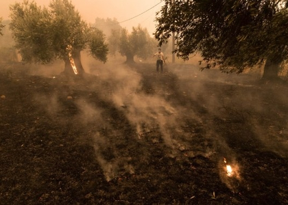 Greece requests EU assistance as wildfires rage across country | Greece requests EU assistance as wildfires rage across country Greece requests EU assistance as wildfires rage across country | Greece requests EU assistance as wildfires rage across country
