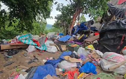 Mansa Devi stampede: CM Dhami announces Rs 2 lakh ex gratia, orders probe | Mansa Devi stampede: CM Dhami announces Rs 2 lakh ex gratia, orders probe Mansa Devi stampede: CM Dhami announces Rs 2 lakh ex gratia, orders probe | Mansa Devi stampede: CM Dhami announces Rs 2 lakh ex gratia, orders probe