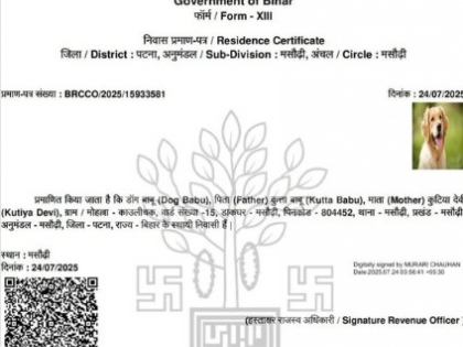Residence certificate issued to dog in Patna, FIRs ordered against erring officials | Residence certificate issued to dog in Patna, FIRs ordered against erring officials