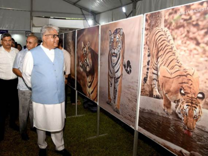 Tiger reserves increased from 46 to 58 since 2014: Bhupender Yadav | Tiger reserves increased from 46 to 58 since 2014: Bhupender Yadav