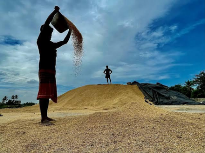 TN set to break record in paddy procurement, may touch 47 lakh tonnes | TN set to break record in paddy procurement, may touch 47 lakh tonnes TN set to break record in paddy procurement, may touch 47 lakh tonnes | TN set to break record in paddy procurement, may touch 47 lakh tonnes