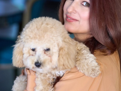 Twinkle Khanna calls out her pet dog’s unimpressed attitude in playful post | Twinkle Khanna calls out her pet dog’s unimpressed attitude in playful post Twinkle Khanna calls out her pet dog’s unimpressed attitude in playful post | Twinkle Khanna calls out her pet dog’s unimpressed attitude in playful post