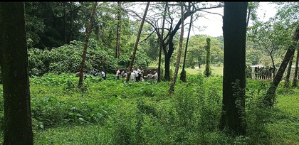 Torn blouse, PAN card found at 1st burial site: Lawyer on Dharmasthala probe | Torn blouse, PAN card found at 1st burial site: Lawyer on Dharmasthala probe
