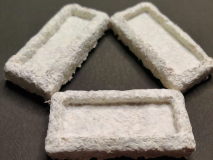 IIT Madras’ new agri-waste-based packaging material to help reduce plastic use | IIT Madras’ new agri-waste-based packaging material to help reduce plastic use