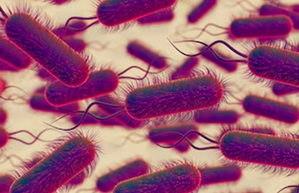 One dead, six hospitalized amid outbreak of Legionnaires' disease in inner-Sydney | One dead, six hospitalized amid outbreak of Legionnaires' disease in inner-Sydney One dead, six hospitalized amid outbreak of Legionnaires' disease in inner-Sydney | One dead, six hospitalized amid outbreak of Legionnaires' disease in inner-Sydney