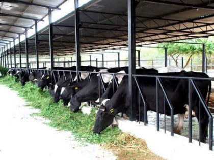 ₹90 cr high-tech dairy plant nears completion in TN's Namakkal; set to revolutionise milk processing | ₹90 cr high-tech dairy plant nears completion in TN's Namakkal; set to revolutionise milk processing ₹90 cr high-tech dairy plant nears completion in TN's Namakkal; set to revolutionise milk processing | ₹90 cr high-tech dairy plant nears completion in TN's Namakkal; set to revolutionise milk processing