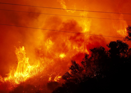 Wildfire continues to rage across US Grand Canyon National Park | Wildfire continues to rage across US Grand Canyon National Park