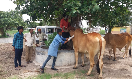States adequately funded for vaccinating bovines against livestock diseases: Govt | States adequately funded for vaccinating bovines against livestock diseases: Govt States adequately funded for vaccinating bovines against livestock diseases: Govt | States adequately funded for vaccinating bovines against livestock diseases: Govt