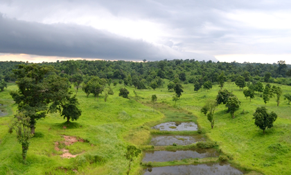 Tripura to set up six eco-parks to boost tourism, protect forests: Minister | Tripura to set up six eco-parks to boost tourism, protect forests: Minister Tripura to set up six eco-parks to boost tourism, protect forests: Minister | Tripura to set up six eco-parks to boost tourism, protect forests: Minister