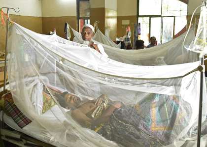Bangladesh: Three more fatalities due to dengue raise death toll to 92 | Bangladesh: Three more fatalities due to dengue raise death toll to 92 Bangladesh: Three more fatalities due to dengue raise death toll to 92 | Bangladesh: Three more fatalities due to dengue raise death toll to 92