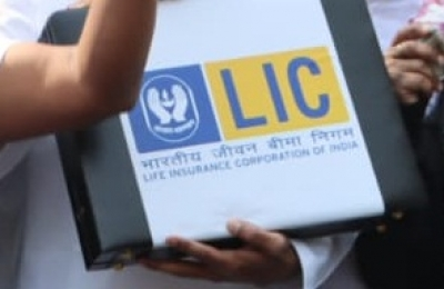 LIC clocks 4 pc rise in Q1 consolidated profit; NII also grow | LIC clocks 4 pc rise in Q1 consolidated profit; NII also grow
