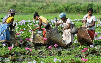 Cabinet greenlights Rs 4,250 crore to boost infra, empower vulnerable groups in Assam and Tripura | Cabinet greenlights Rs 4,250 crore to boost infra, empower vulnerable groups in Assam and Tripura