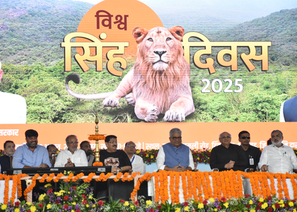 Guj: Barda wildlife sanctuary hosts grand ‘World Lion Day’ celebration; Rs 180-cr development push announced | Guj: Barda wildlife sanctuary hosts grand ‘World Lion Day’ celebration; Rs 180-cr development push announced
