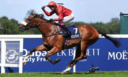 India's Suraj Narredu makes history with Shergar Cup 2025 win at Ascot | India's Suraj Narredu makes history with Shergar Cup 2025 win at Ascot India's Suraj Narredu makes history with Shergar Cup 2025 win at Ascot | India's Suraj Narredu makes history with Shergar Cup 2025 win at Ascot