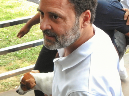 A step back from decades of humane, science-backed policy: LoP Rahul Gandhi on SC order to remove all stray dogs | A step back from decades of humane, science-backed policy: LoP Rahul Gandhi on SC order to remove all stray dogs A step back from decades of humane, science-backed policy: LoP Rahul Gandhi on SC order to remove all stray dogs | A step back from decades of humane, science-backed policy: LoP Rahul Gandhi on SC order to remove all stray dogs