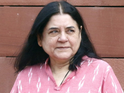 Maneka Gandhi accuses municipal authorities of mismanagement in Delhi’s dog shelters | Maneka Gandhi accuses municipal authorities of mismanagement in Delhi’s dog shelters