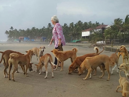 Nafisa Ali: SC’s decision to rid Delhi roads of dogs is totally devastating | Nafisa Ali: SC’s decision to rid Delhi roads of dogs is totally devastating Nafisa Ali: SC’s decision to rid Delhi roads of dogs is totally devastating | Nafisa Ali: SC’s decision to rid Delhi roads of dogs is totally devastating