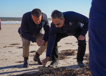 Australian govt to fast-track assessment of toxic algae outbreak on marine species | Australian govt to fast-track assessment of toxic algae outbreak on marine species