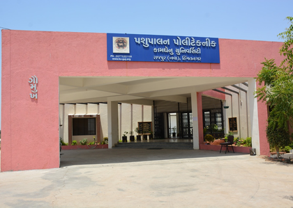Gujarat to get 5th veterinary college in Himatnagar, admissions from next month | Gujarat to get 5th veterinary college in Himatnagar, admissions from next month