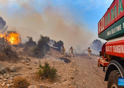Forest fire in Turkey prompts evacuation of several villages | Forest fire in Turkey prompts evacuation of several villages