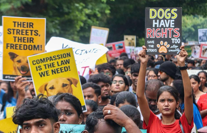 Chennai animal rights activists oppose SC order on Delhi-NCR stray dogs | Chennai animal rights activists oppose SC order on Delhi-NCR stray dogs Chennai animal rights activists oppose SC order on Delhi-NCR stray dogs | Chennai animal rights activists oppose SC order on Delhi-NCR stray dogs