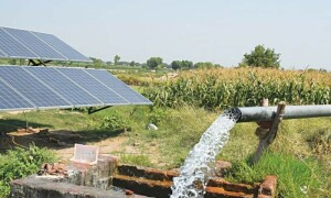 Pakistan: Farmers in Balochistan criticise govt for not providing funds for solarisation | Pakistan: Farmers in Balochistan criticise govt for not providing funds for solarisation Pakistan: Farmers in Balochistan criticise govt for not providing funds for solarisation | Pakistan: Farmers in Balochistan criticise govt for not providing funds for solarisation