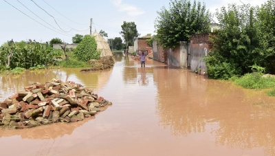 14,200 acres in Punjab hit by floodwaters, says minister | 14,200 acres in Punjab hit by floodwaters, says minister 14,200 acres in Punjab hit by floodwaters, says minister | 14,200 acres in Punjab hit by floodwaters, says minister