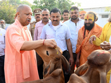 From Panchgavya to biogas: UP’s new drive for sustainable rural development | From Panchgavya to biogas: UP’s new drive for sustainable rural development From Panchgavya to biogas: UP’s new drive for sustainable rural development | From Panchgavya to biogas: UP’s new drive for sustainable rural development