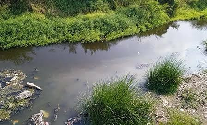 TN govt to conduct drone survey at Nallaru River to identify encroachments | TN govt to conduct drone survey at Nallaru River to identify encroachments TN govt to conduct drone survey at Nallaru River to identify encroachments | TN govt to conduct drone survey at Nallaru River to identify encroachments