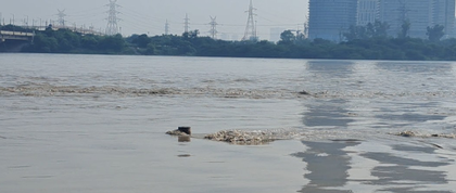 Delhi's Yamuna Bazar flooded as river swells; residents struggle without food, shelter | Delhi's Yamuna Bazar flooded as river swells; residents struggle without food, shelter