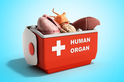 TN woman alleges organ removal, probe ordered | TN woman alleges organ removal, probe ordered TN woman alleges organ removal, probe ordered | TN woman alleges organ removal, probe ordered