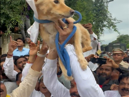Chhindwara drama: MP Congress submits memo to dog, sparks buzz | Chhindwara drama: MP Congress submits memo to dog, sparks buzz