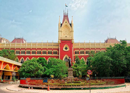 Bengal: Calcutta HC seeks reports on dog sterilisation programme from KMC and BMC | Bengal: Calcutta HC seeks reports on dog sterilisation programme from KMC and BMC