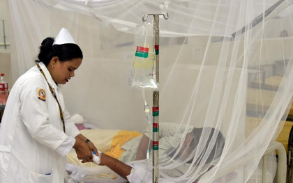 Bangladesh records highest single-day toll of 5 dengue deaths | Bangladesh records highest single-day toll of 5 dengue deaths