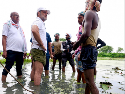 Voter Adhikar Yatra: Rahul Gandhi meets makhana farmers in Katihar | Voter Adhikar Yatra: Rahul Gandhi meets makhana farmers in Katihar Voter Adhikar Yatra: Rahul Gandhi meets makhana farmers in Katihar | Voter Adhikar Yatra: Rahul Gandhi meets makhana farmers in Katihar