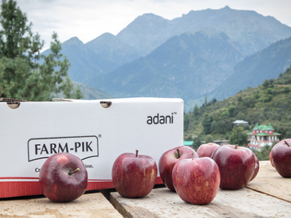 Adani Agri Fresh begins apple procurement at Rs 85 per kg in Himachal Pradesh | Adani Agri Fresh begins apple procurement at Rs 85 per kg in Himachal Pradesh Adani Agri Fresh begins apple procurement at Rs 85 per kg in Himachal Pradesh | Adani Agri Fresh begins apple procurement at Rs 85 per kg in Himachal Pradesh
