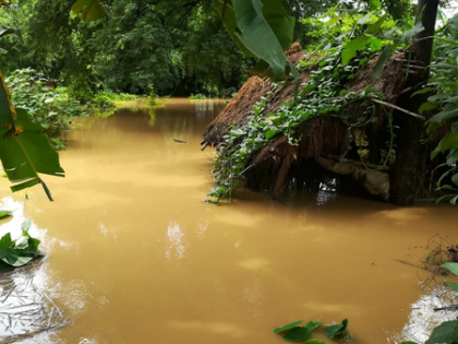 IMD issues heavy rainfall warning for Odisha amid flood crisis | IMD issues heavy rainfall warning for Odisha amid flood crisis