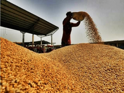 Centre cuts wheat stock limit for traders to keep prices in check | Centre cuts wheat stock limit for traders to keep prices in check