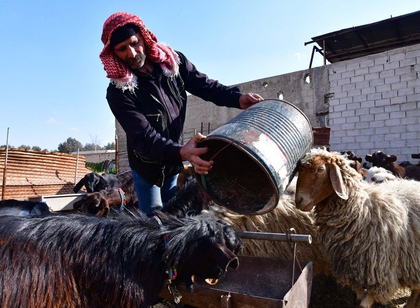 Syria hit by worst drought in decades, UN warns of deepening hunger crisis | Syria hit by worst drought in decades, UN warns of deepening hunger crisis Syria hit by worst drought in decades, UN warns of deepening hunger crisis | Syria hit by worst drought in decades, UN warns of deepening hunger crisis