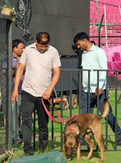 20 Delhi colleges receive bomb threats, search Ops underway | 20 Delhi colleges receive bomb threats, search Ops underway 20 Delhi colleges receive bomb threats, search Ops underway | 20 Delhi colleges receive bomb threats, search Ops underway