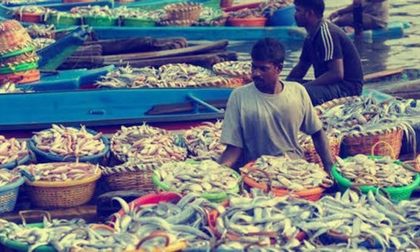 US tariff's lead to slash in seafood production by 50 pc in TN | US tariff's lead to slash in seafood production by 50 pc in TN US tariff's lead to slash in seafood production by 50 pc in TN | US tariff's lead to slash in seafood production by 50 pc in TN