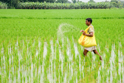 Monsoon rainfall remains favourable, Kharif sowing up 3.4 pc YoY: Report | Monsoon rainfall remains favourable, Kharif sowing up 3.4 pc YoY: Report Monsoon rainfall remains favourable, Kharif sowing up 3.4 pc YoY: Report | Monsoon rainfall remains favourable, Kharif sowing up 3.4 pc YoY: Report